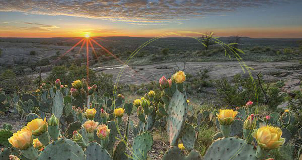 Natural Burial Grounds Near Me
